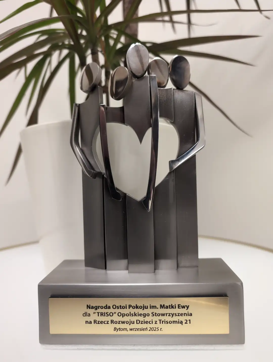 Gratulacje dla TRISO!