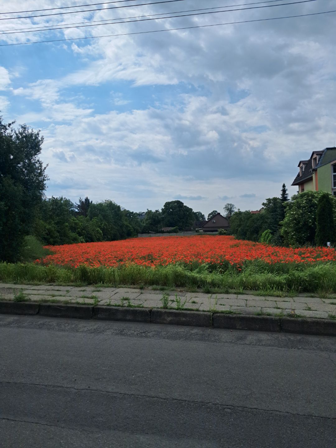 Niezastąpieni